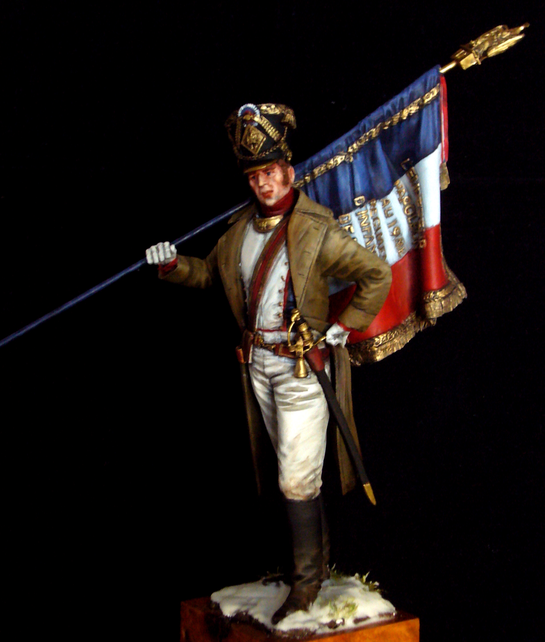 Completed Critique - French Line officer with eagle | planetFigure ...