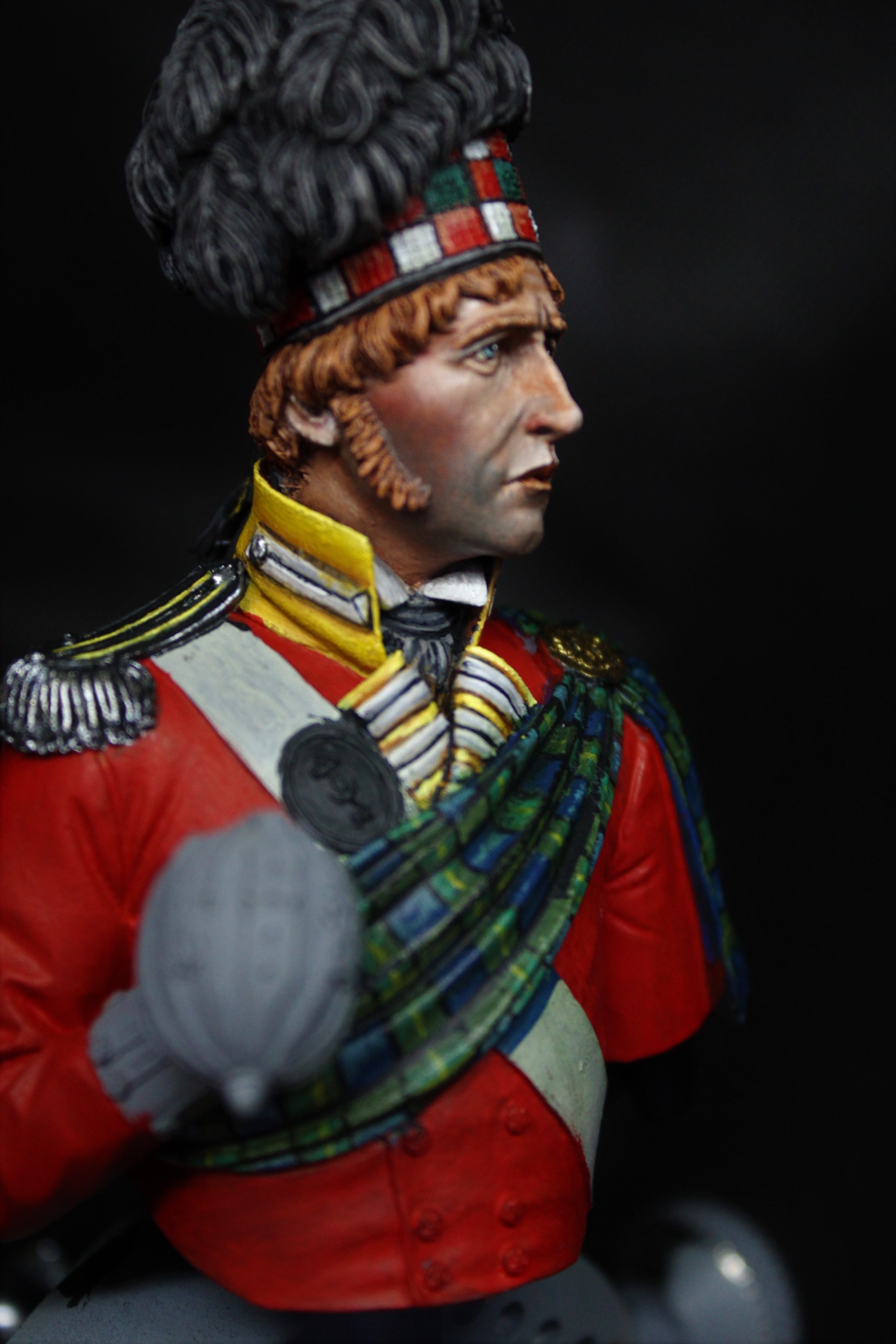 WIP - 92nd Gordon Officer - Waterloo - Stage 2 ...Tartan | planetFigure ...