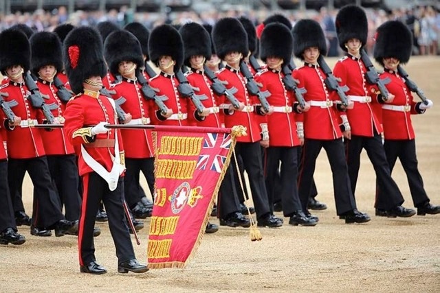 200mm Ensign for the Colour, Coldstream Guards, 2016 | planetFigure ...