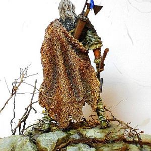 TOTN Viking 05a.jpg | planetFigure | Miniatures